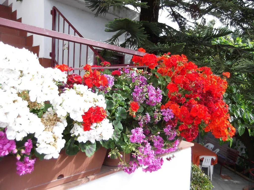 Casavacanzeinsicilia Etna Taormina Piedimonte Etneo 0*,